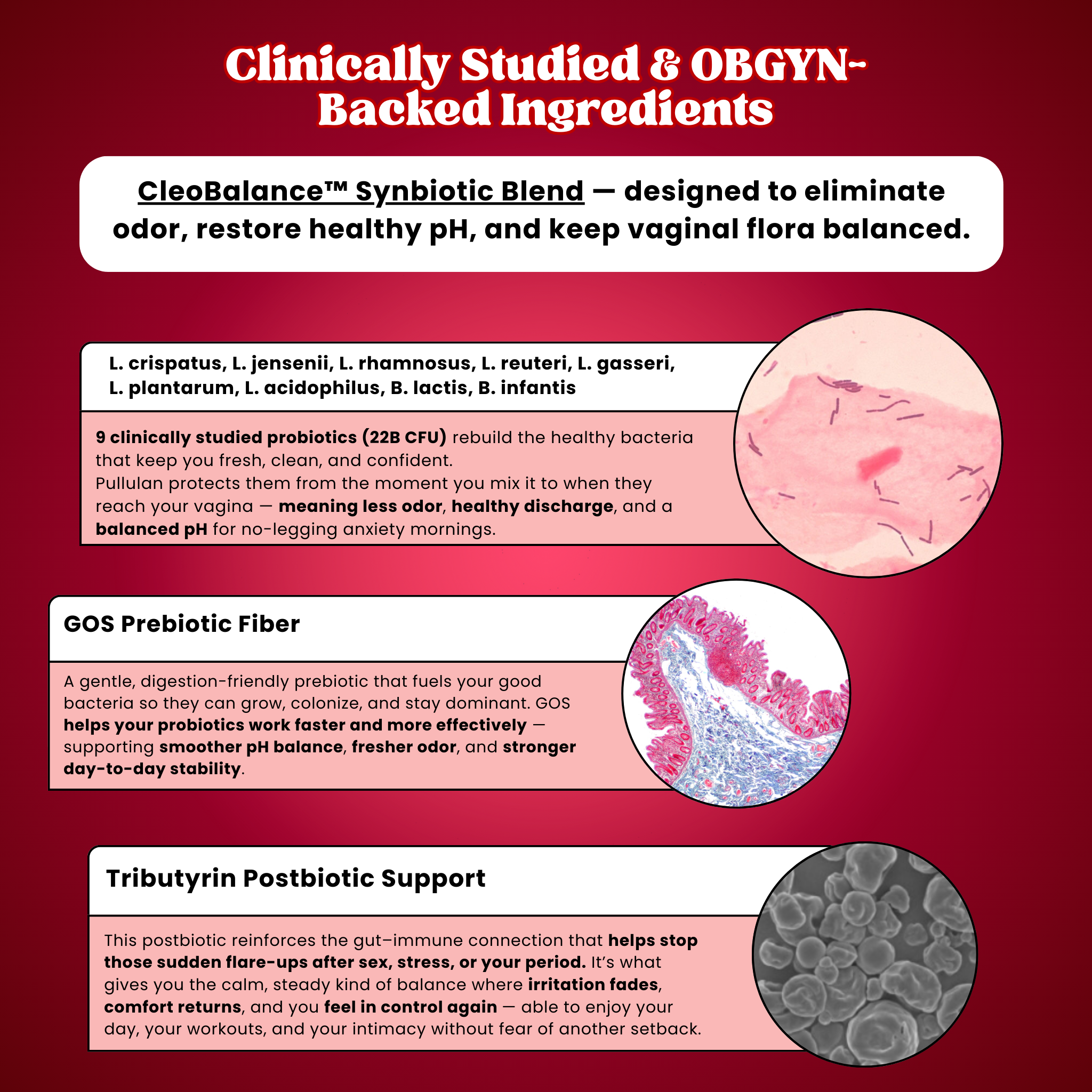 Cleoflora™  Vaginal & Gut Synbiotic